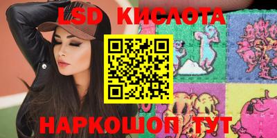 гидра Будённовск