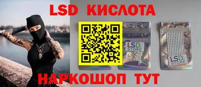 гидра Будённовск
