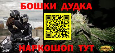 гидра Будённовск