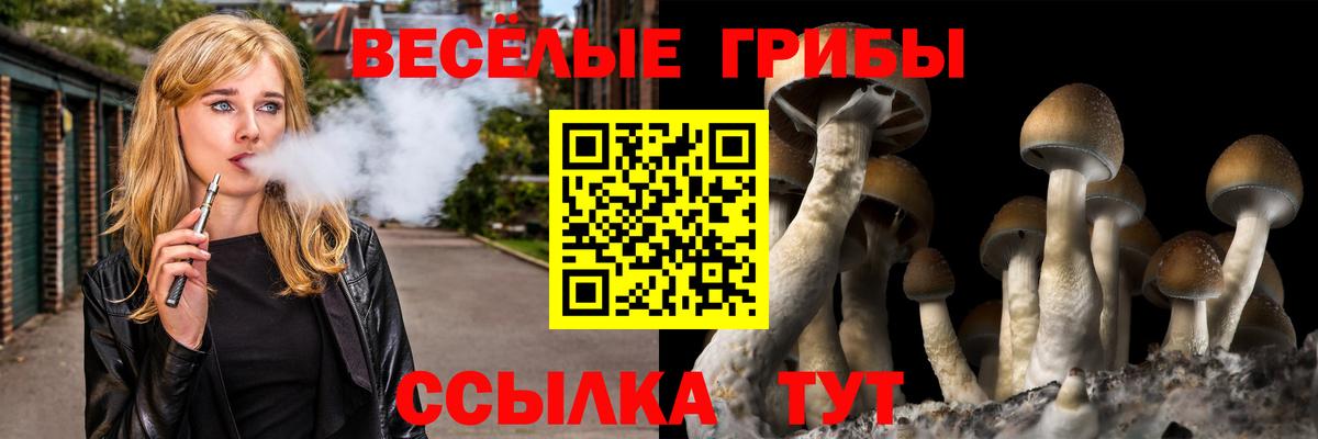 Псилоцибиновые грибы ЛСД Канск