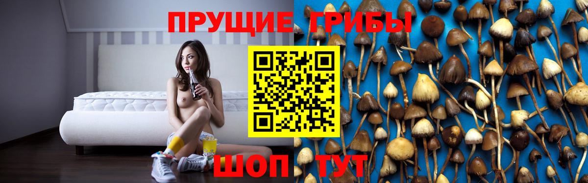 Канск  Галлюциногенные грибы прущие грибы  Вход с VPN  Галлюциногенные грибы MAGIC MUSHROOMS 